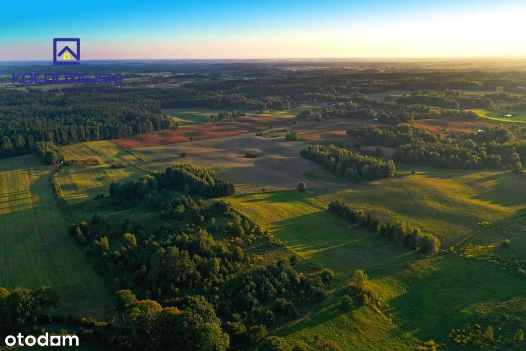 4/14289/OGS - Pełny obrazek: 4/7