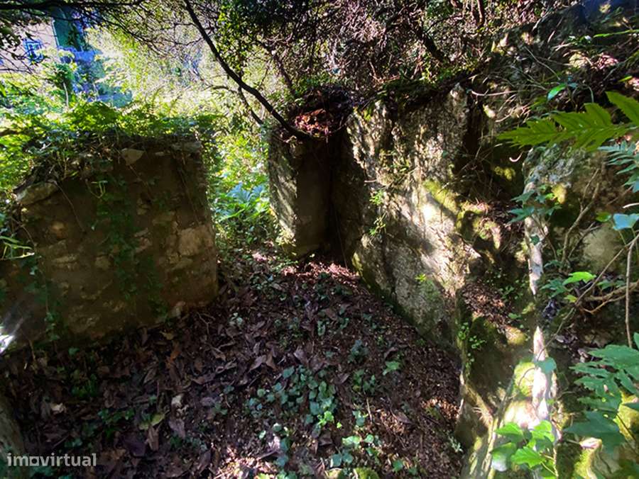 Pequena moradia T2, encantadora, autêntica, entre Óbidos e Bombarral-30