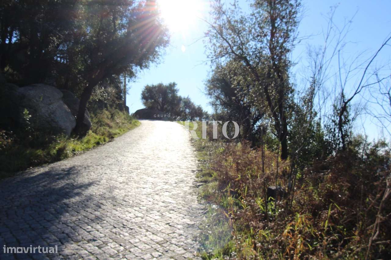 Bouça com 43839 m2 - Grande imagem: 3/5