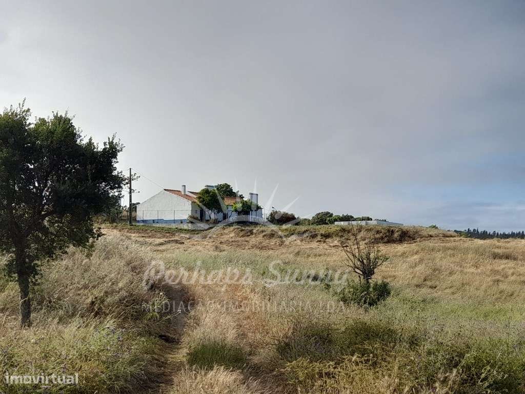 Herdade com Habitação - Grândola - Grande imagem: 5/39