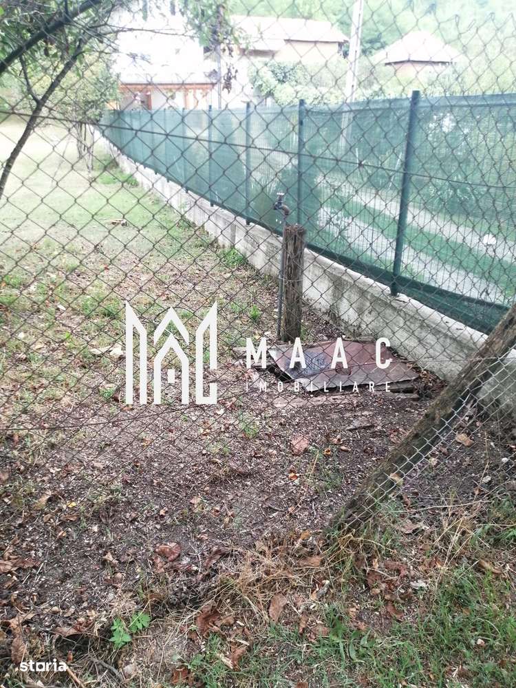 Teren Intravilan 10.000 mp | Livadă + Pădure de salcâm | Bărbătești-6