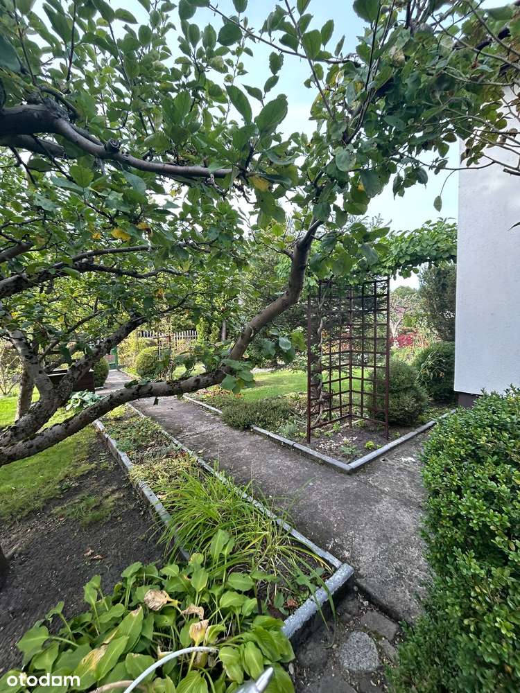 Działka ROD Witaminka Osówiec - Pełny obrazek: 5/12