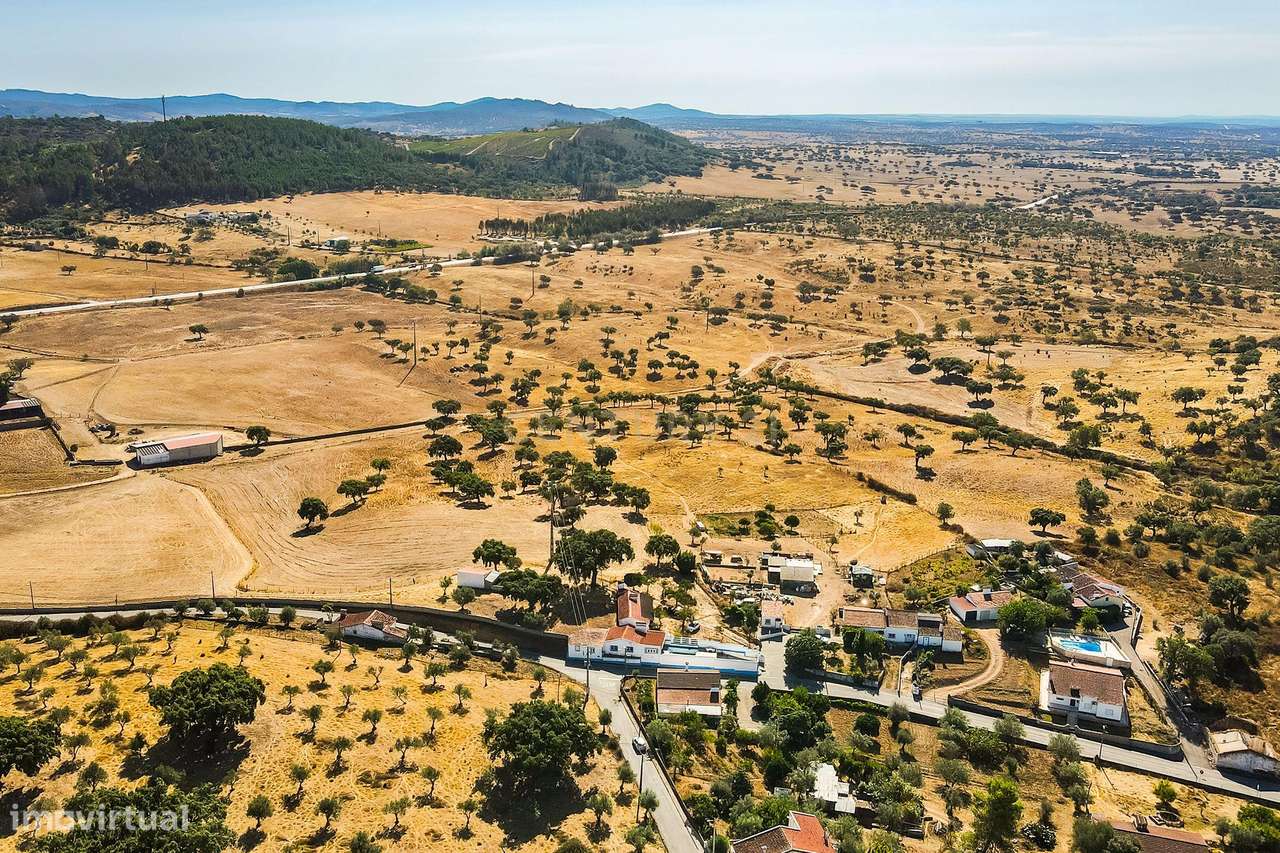 Monte Alentejano com 45 Hectares e Infraestruturas Agrícolas-26