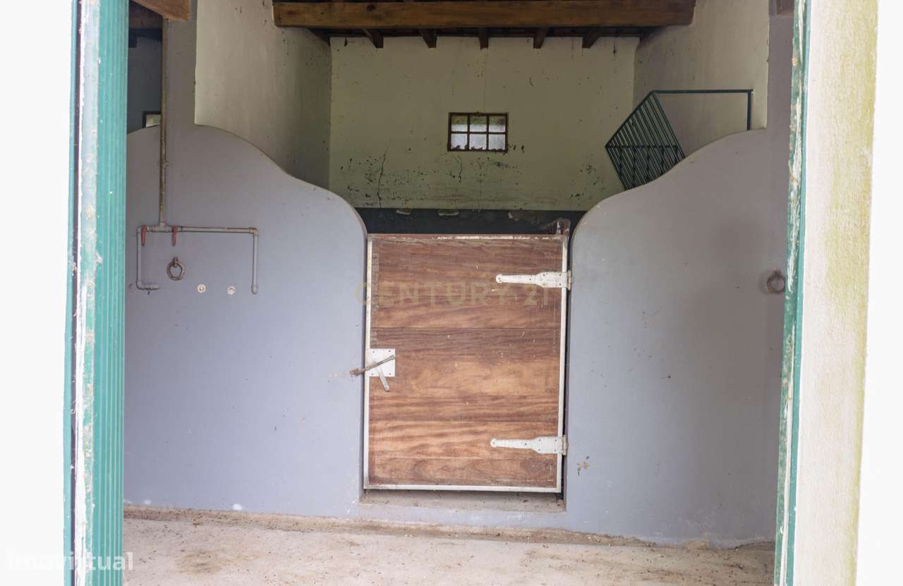 Quintinha em Alenquer com Excelente Potencial – 5,8 Hectares-3