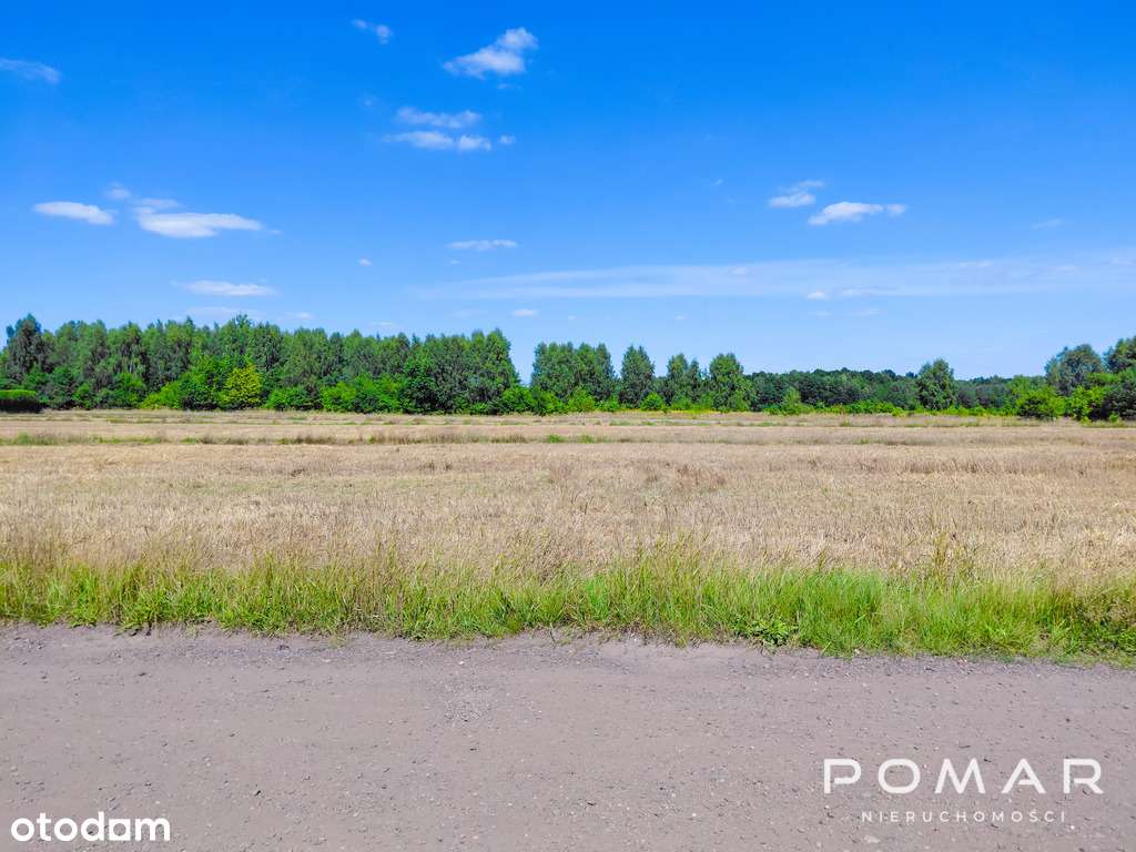 ★ Tylko u nas! Piękna działka - Książenice - Pełny obrazek: 3/8