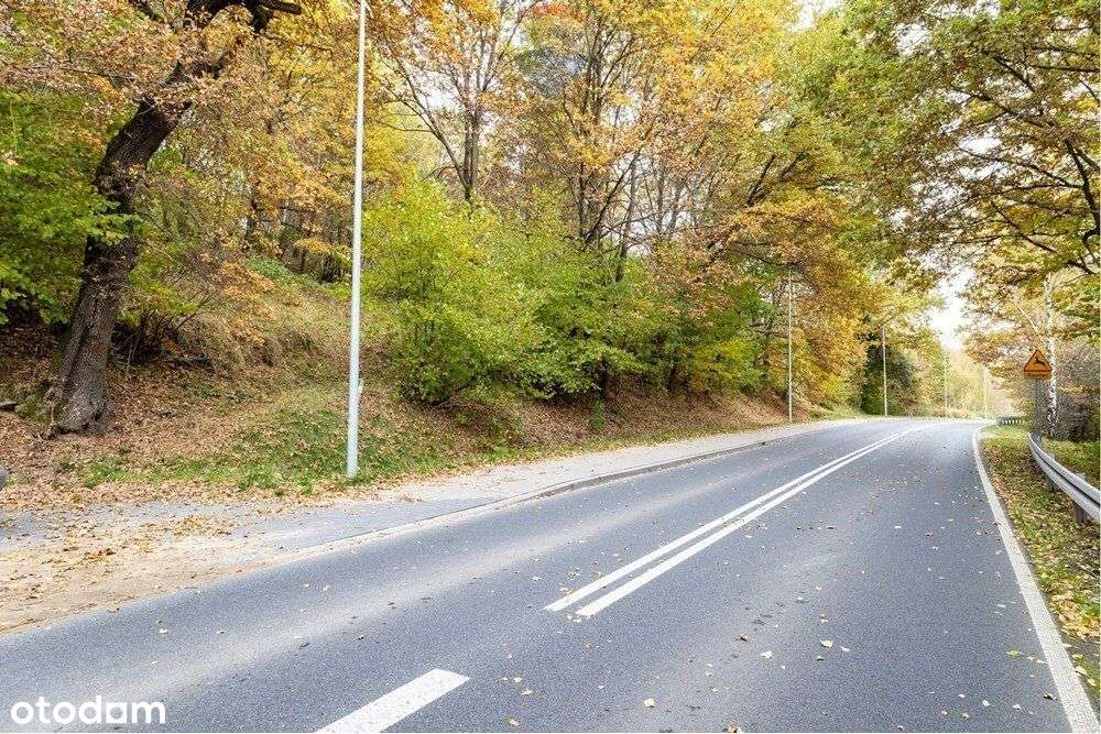 Działka rolna 393 m² w Oczkowie – blisko jeziora - Pełny obrazek: 4/6