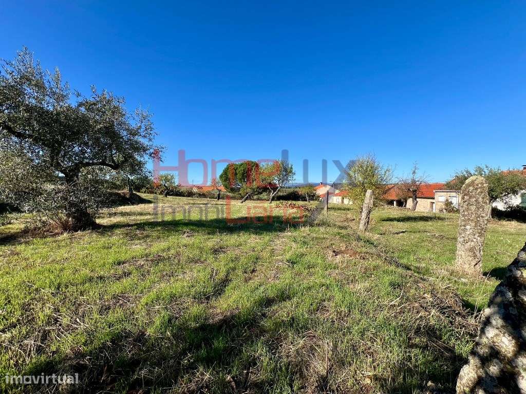 Terreno Urbanizável em Carviçais - Grande imagem: 4/22