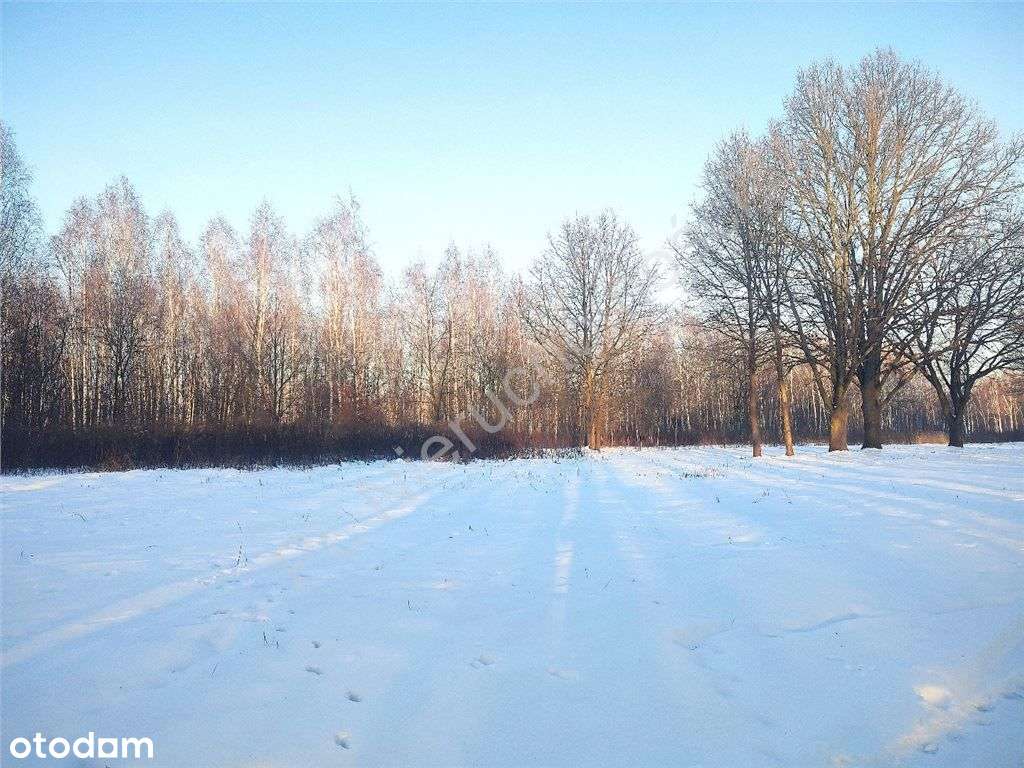 Duże działki na osiedlu przy lesie z Wz-3