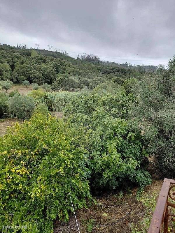 Moradia T3 para venda-28