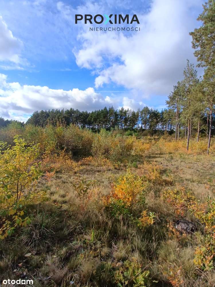 Działka Inwestycyjna – Dąbrówka, Gmina Luzino, Pow-8