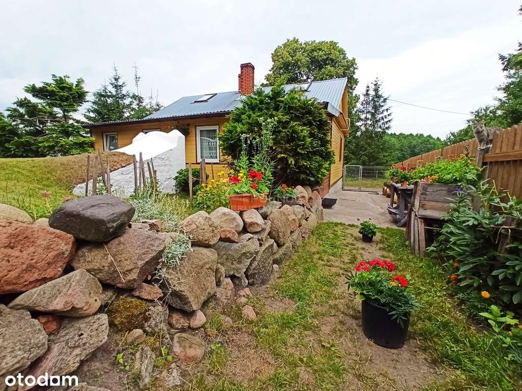 Siedlisko w Boruskach, tereny nadbużańskie - Pełny obrazek: 5/17