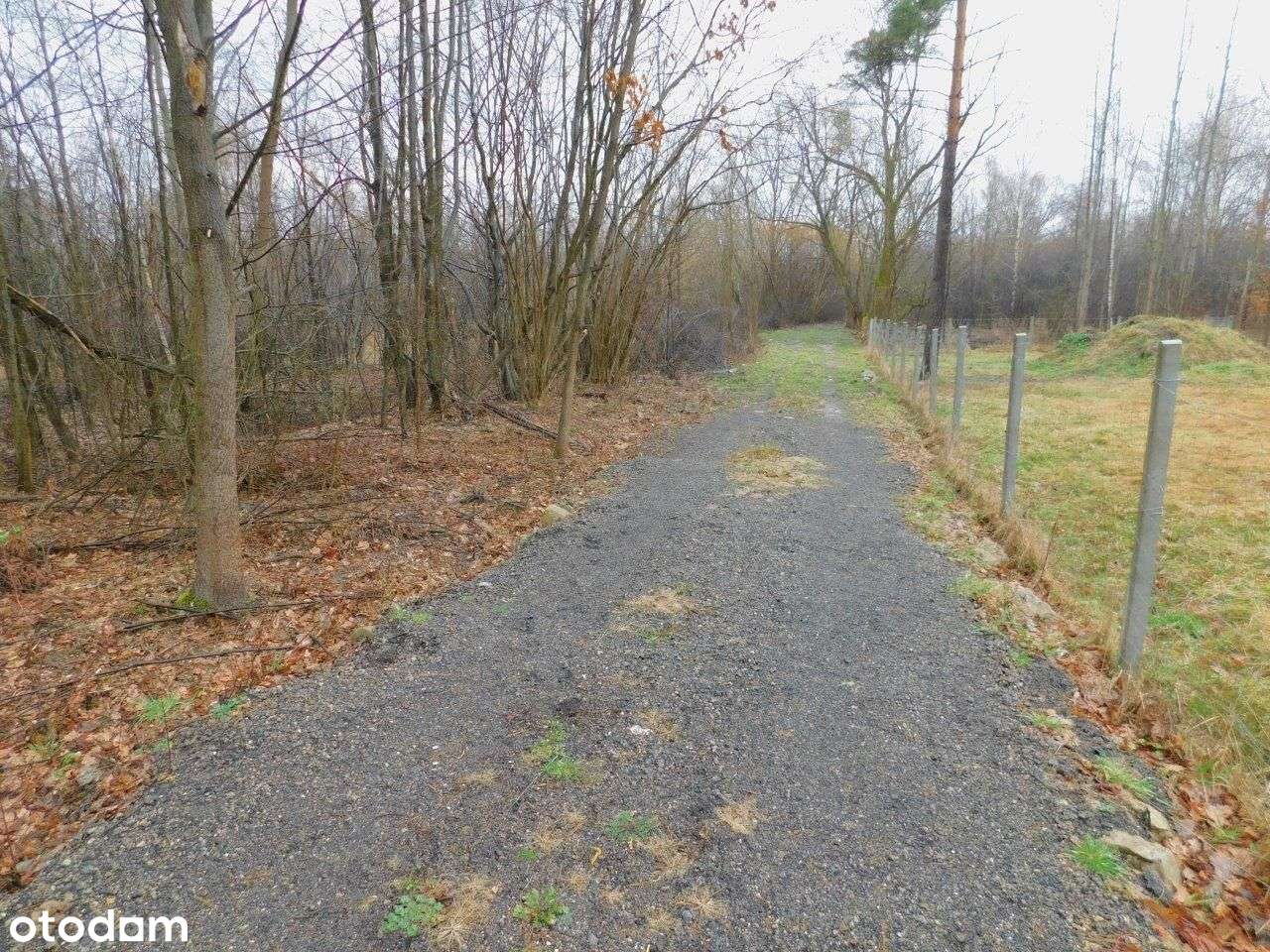 Syndyk sprzeda - Stefanków - Pełny obrazek: 4/8