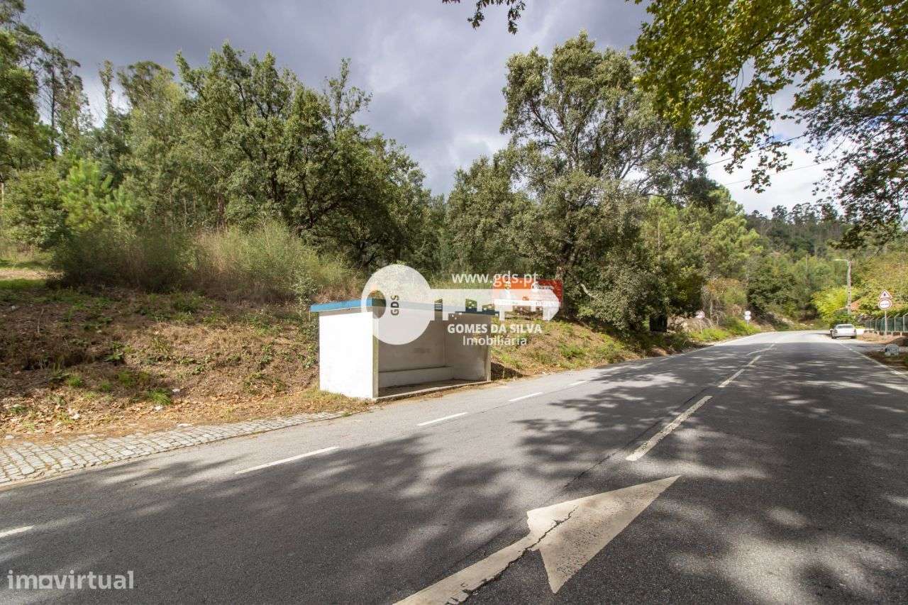 Lote de 7073m2 c/ viabilidade de construção na Morreira - Grande imagem: 3/19