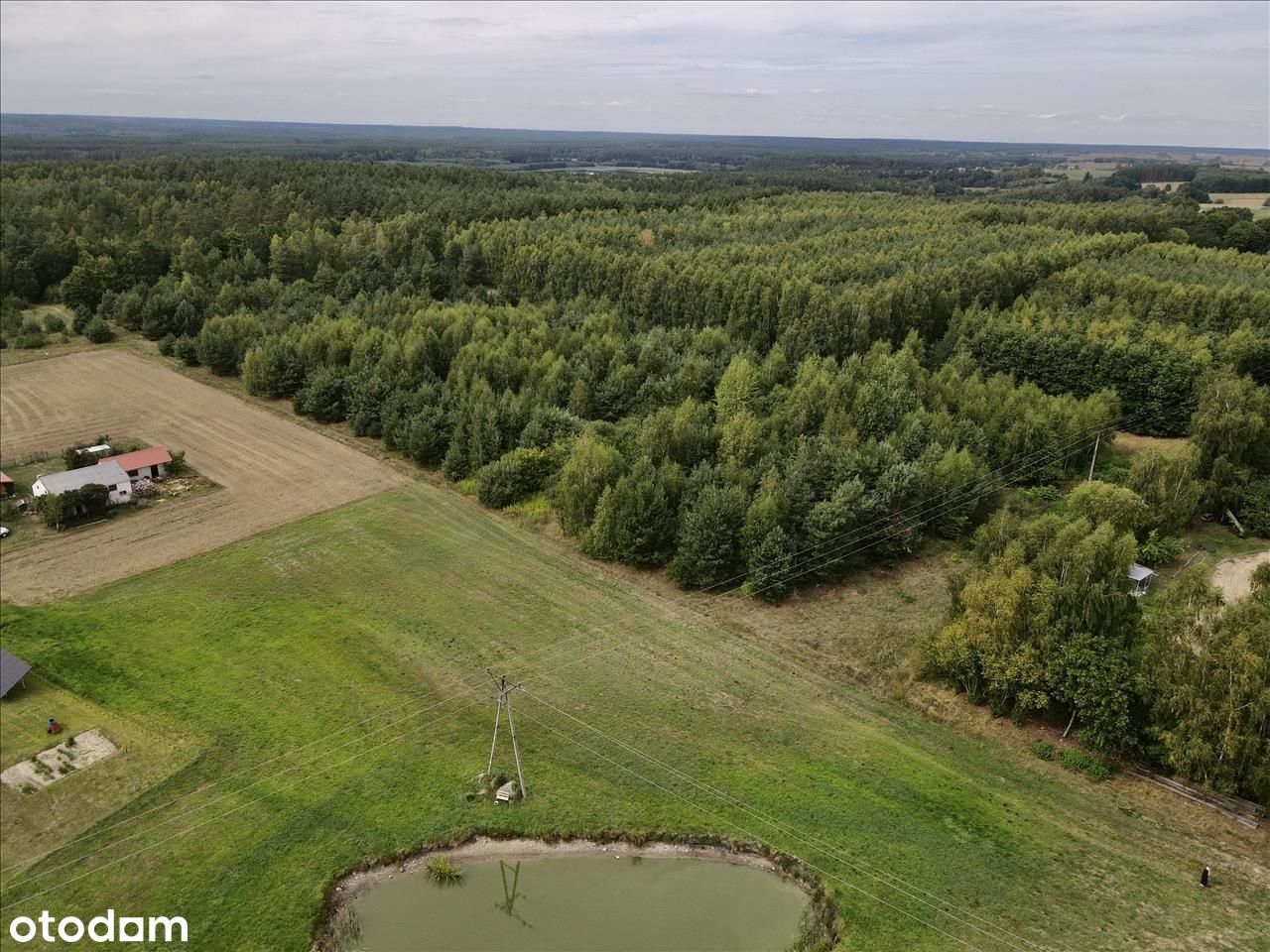 Działka siedliskowa w doskonałej lokalizacji