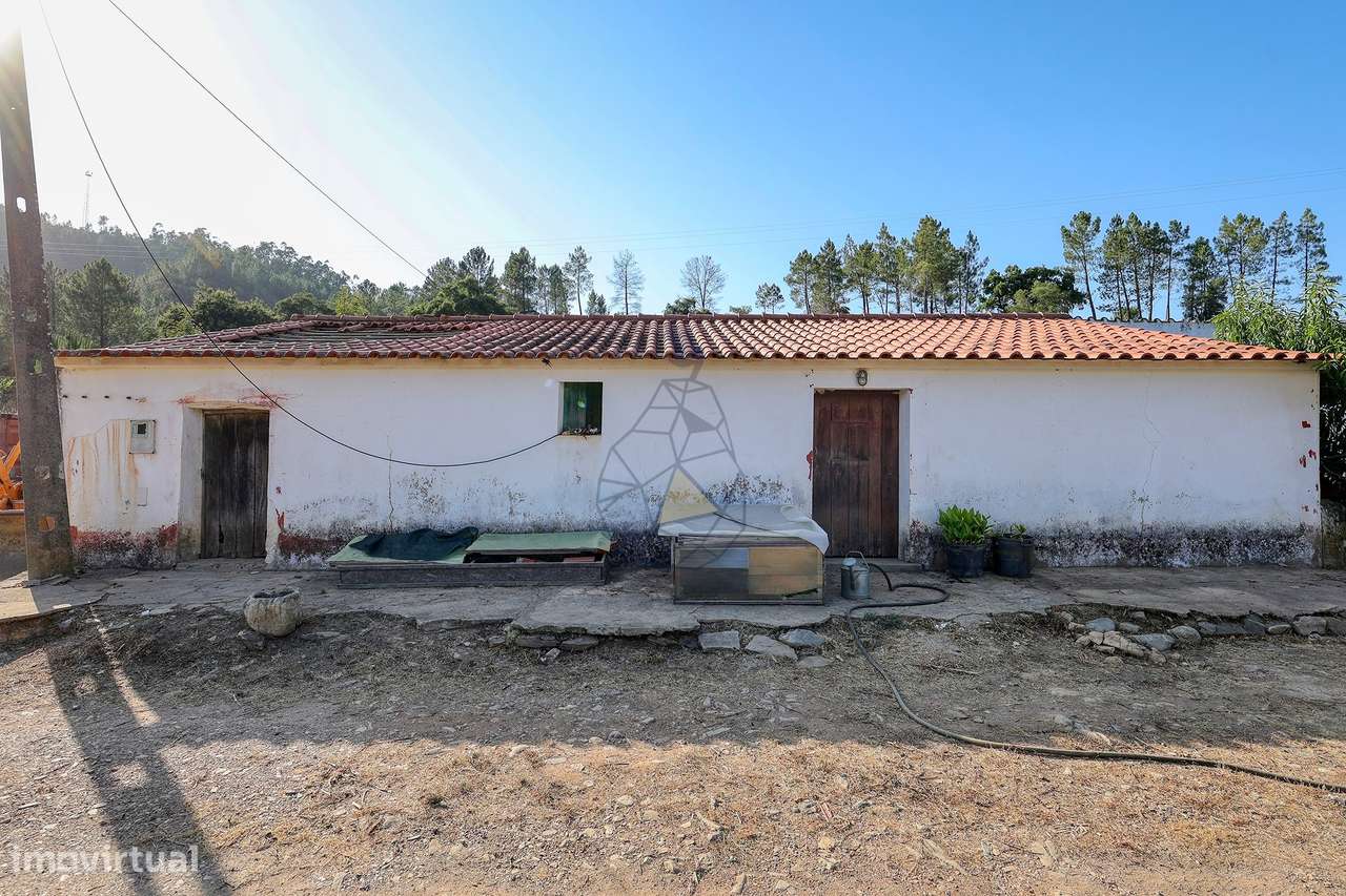 Quinta Autossustentável com 12,7 hectares com Ribeira – Agricultura Bi - Grande imagem: 5/60