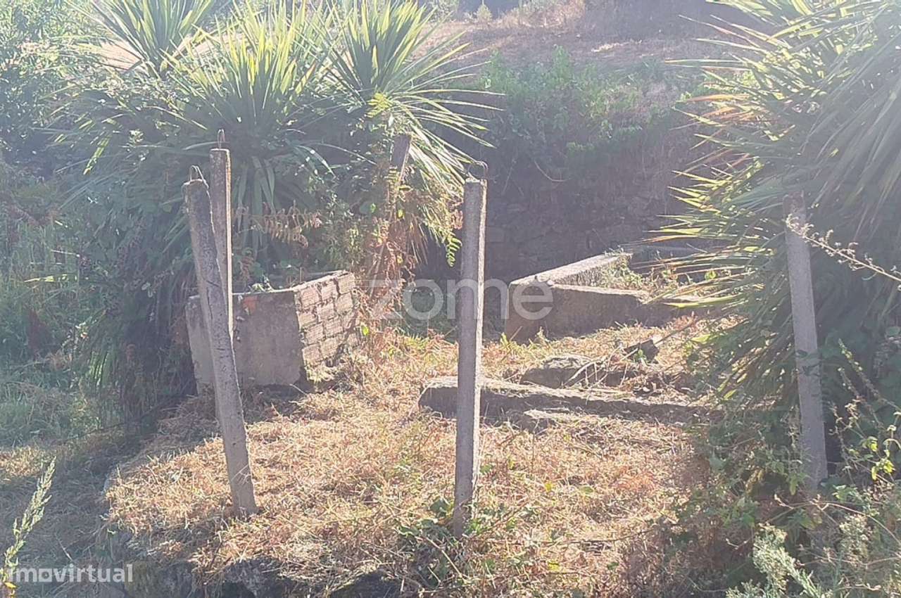 Terreno, 6 700 m², Santiago de Cassurrães e Póvoa de Cervães - Grande imagem: 3/32