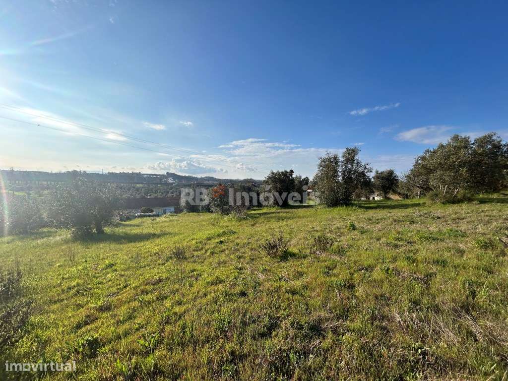 Terreno Rústico com PDM Urbano - Marianaia, Tomar - Grande imagem: 4/33