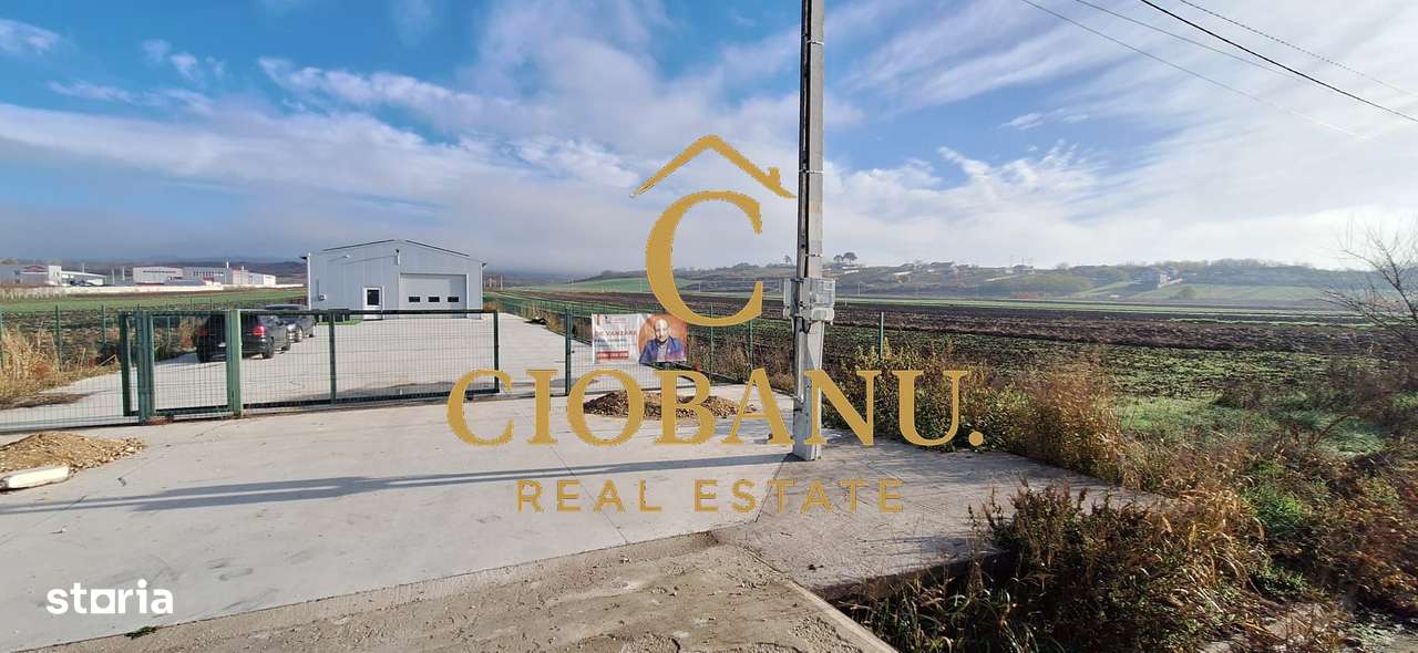 Hala de vanzare in Racarii de Jos-15