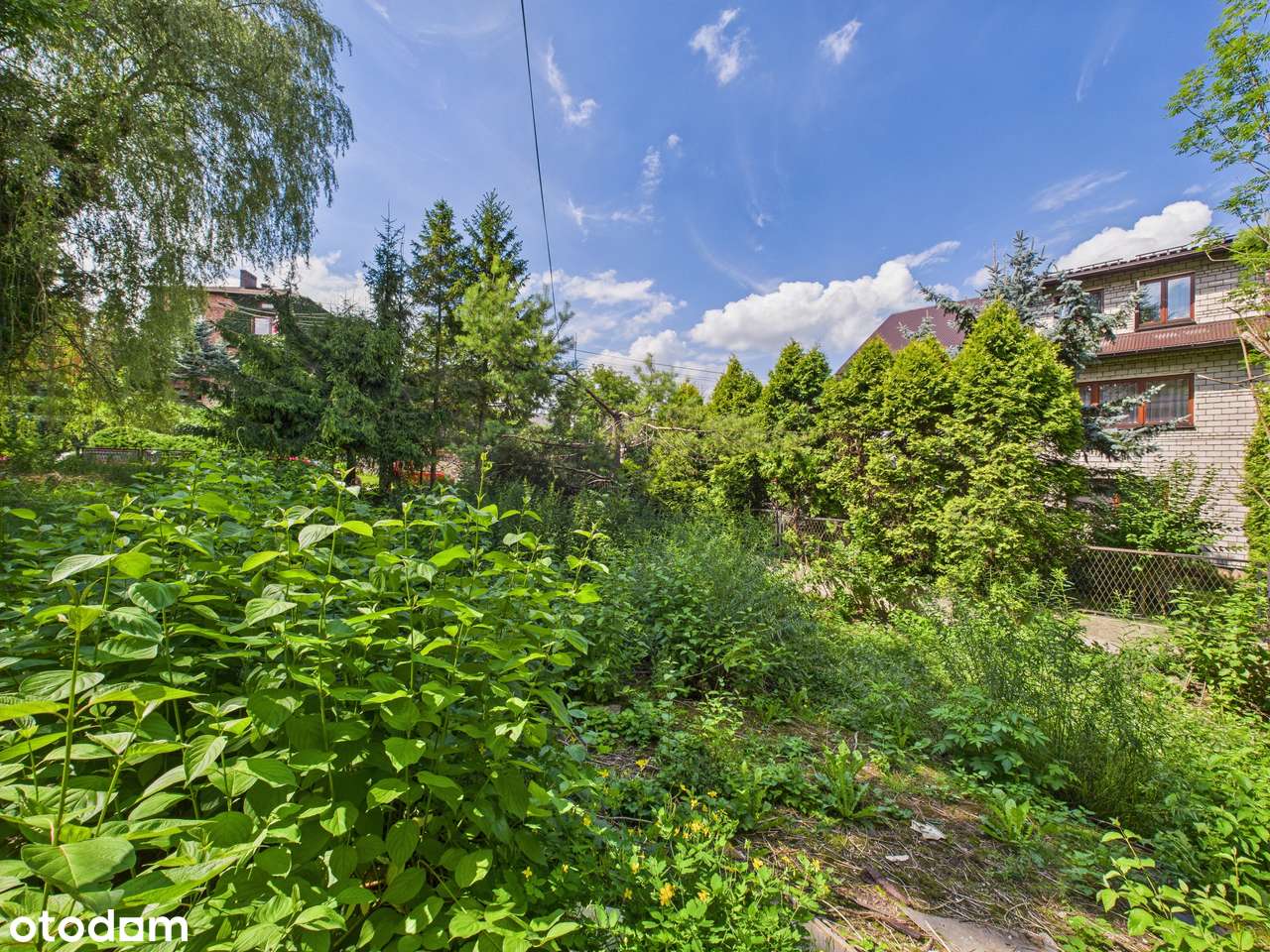 Zielona Działka z Własnym Źródłem i Stawem w Świetnej Lokalizacji!-16