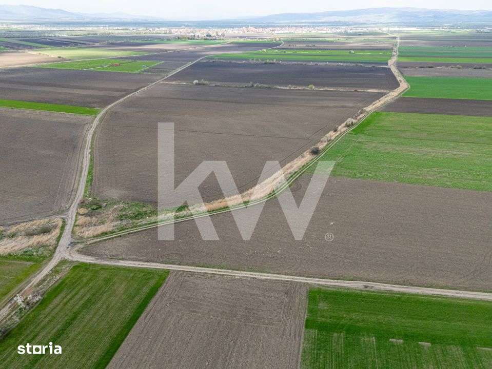 Teren de vanzare – Ghimbav, Brasov | 9.400 mp - Imagine principală: 4/6