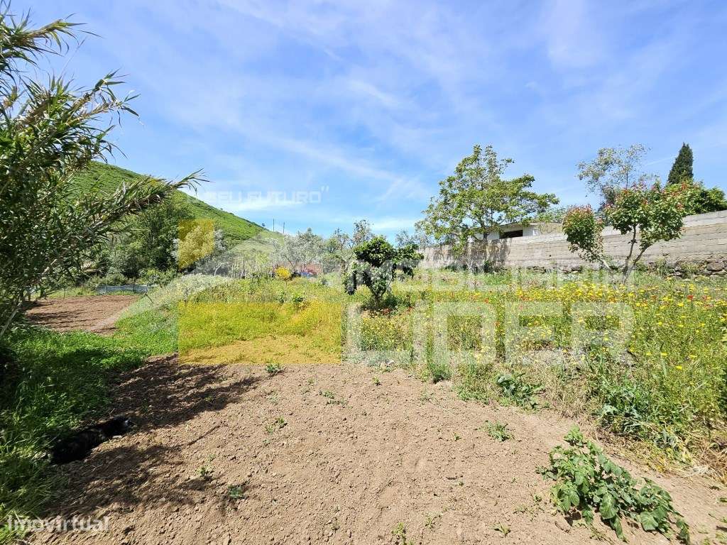Terreno Rústico com 1.000 m2 na Malveira-Mafra.-14