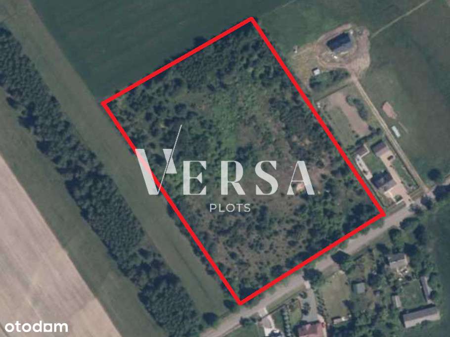 Pod inwestycję - przemysłowa 2,42 ha-2