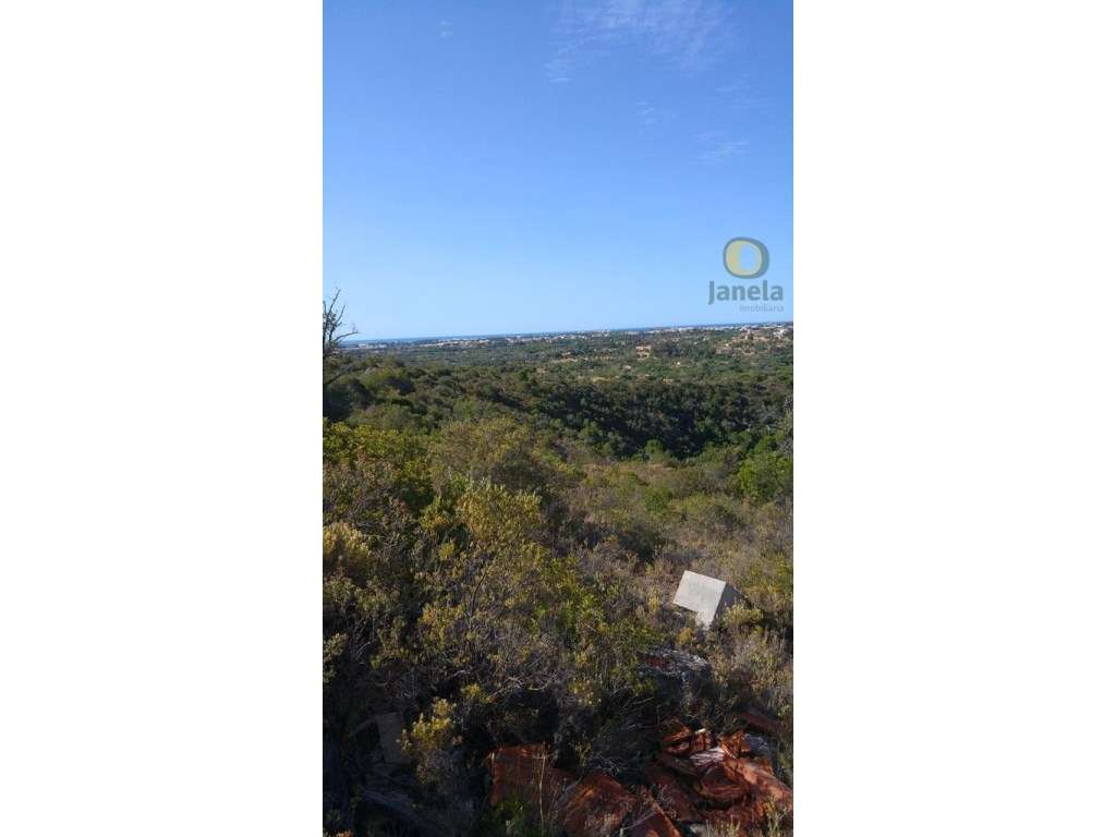 Terreno com 2400 m2 e vista mar - Grande imagem: 5/5