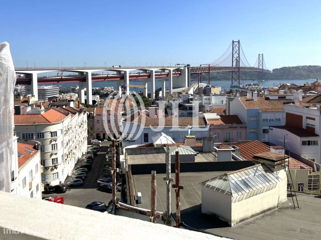 JAU 19 - Grande imagem: 2/13