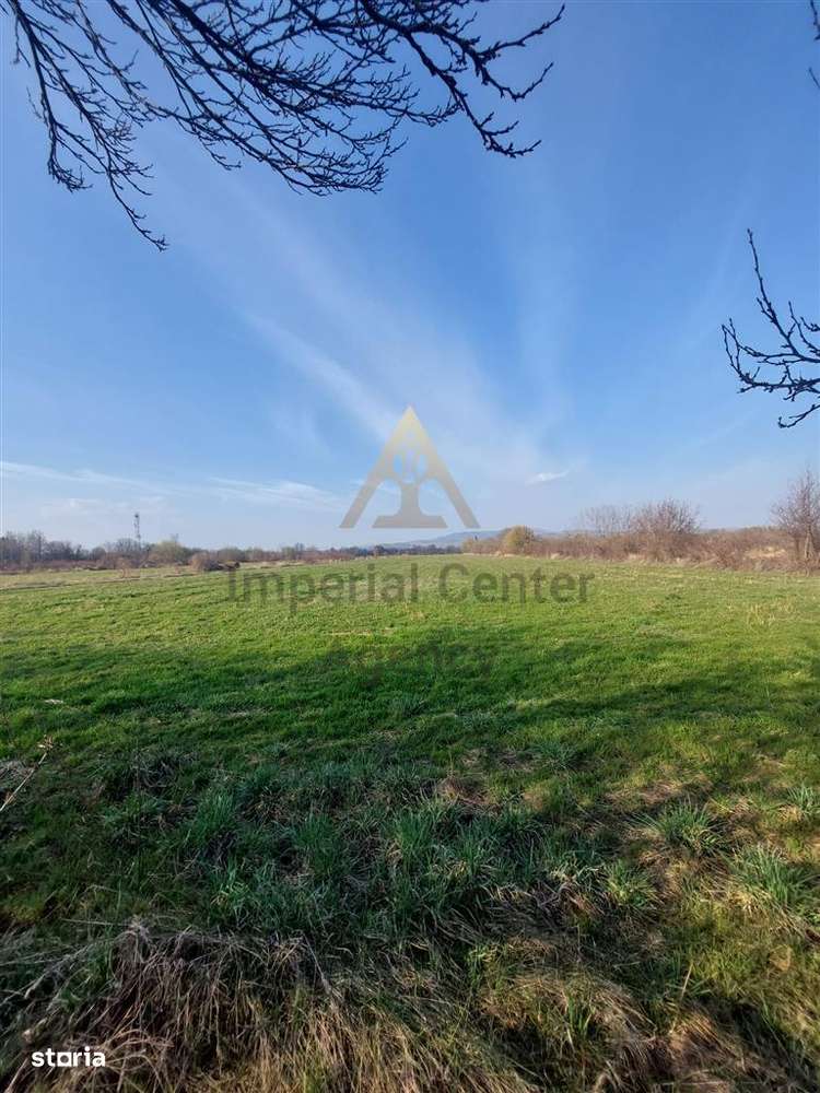 One&#537;ti | Teren 33 ha cu utilit&#259;&#539;i • Se vinde integral s - Imagine principală: 4/6