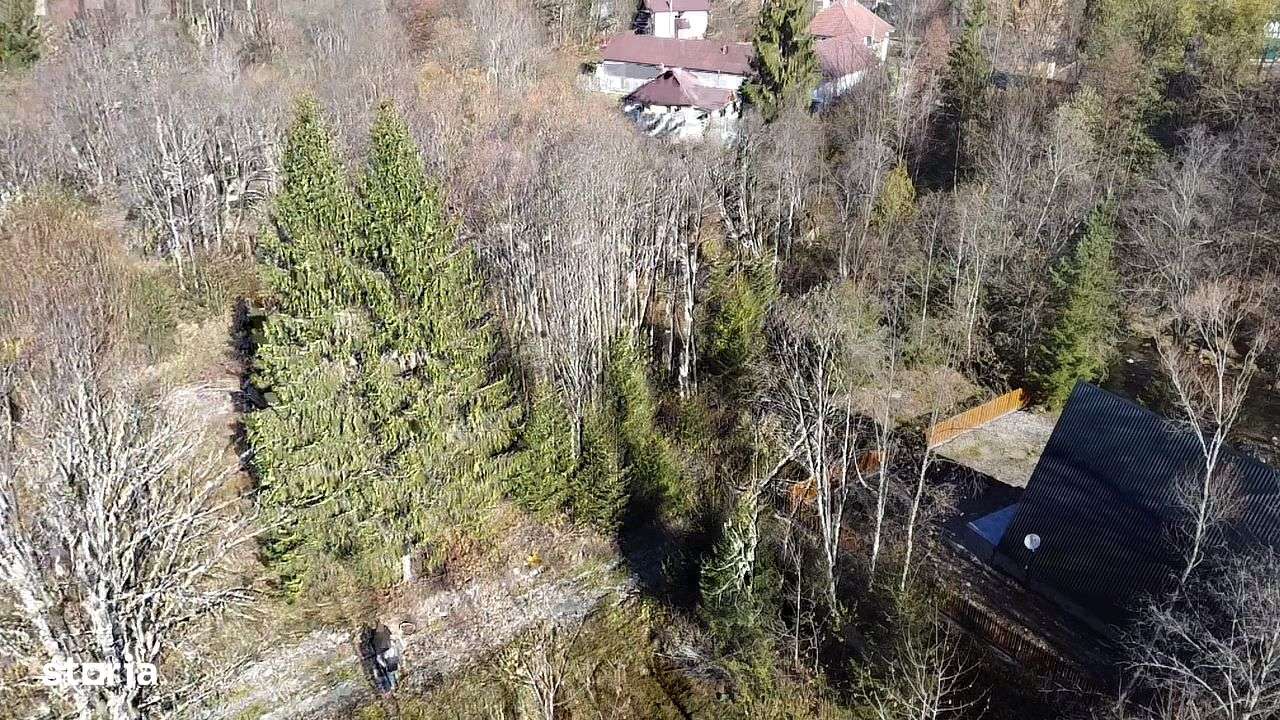 Teren de vânzare 3600 mp Poiana Mărului Caraș-Severin ( cu potențial ) - Imagine principală: 5/5