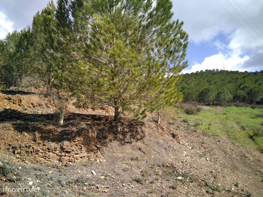 Terreno em São Marcos da Serra com 51,7795 Ha - Grande imagem: 5/10