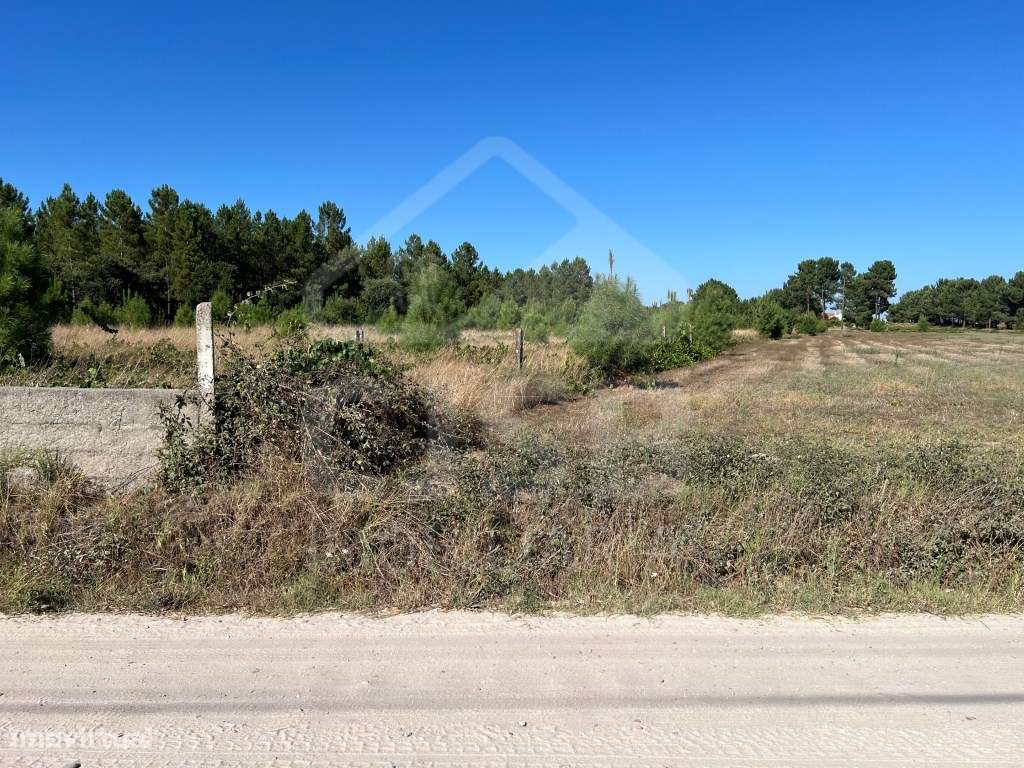 Terreno Rústico em Marinhais - Grande imagem: 4/7