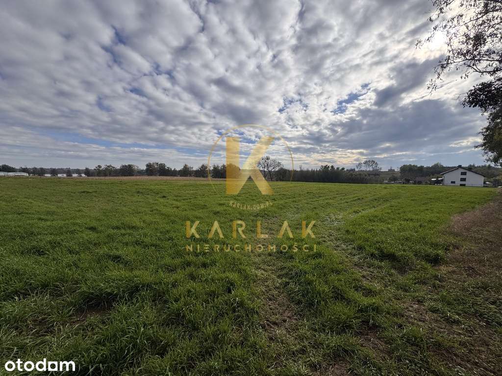 Działki budowlane w Międzychodzie koło Śremu z WZ-7