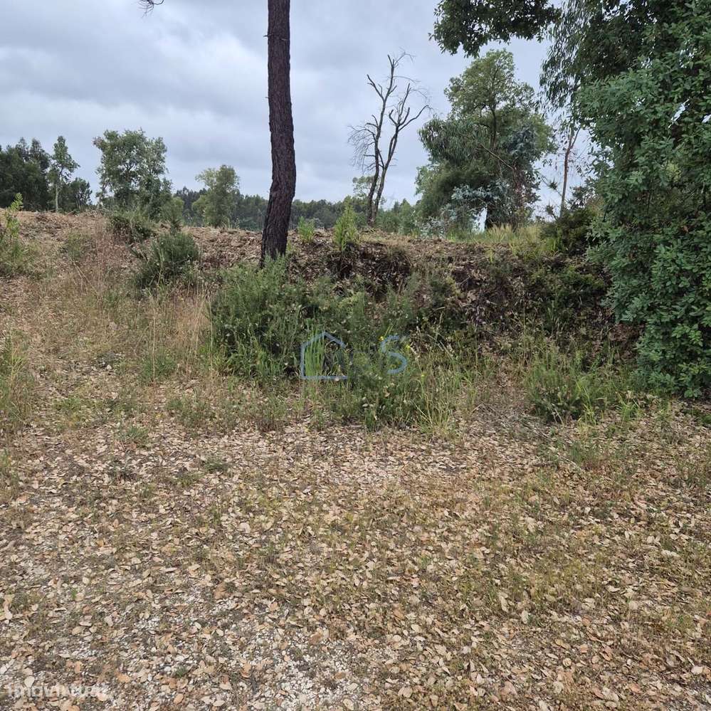 Terreno com 4.560 m² e Viabilidade de Construção – Casais, FZZ-8
