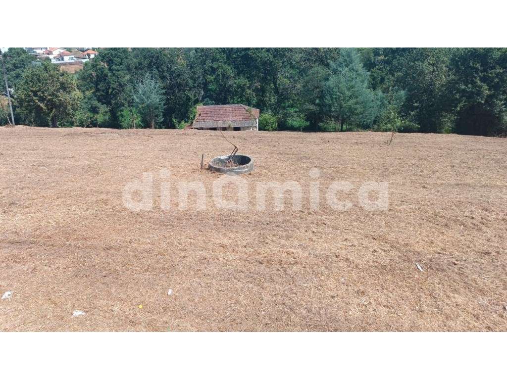 Novidade - Santo Tirso! T3 Duplex-8