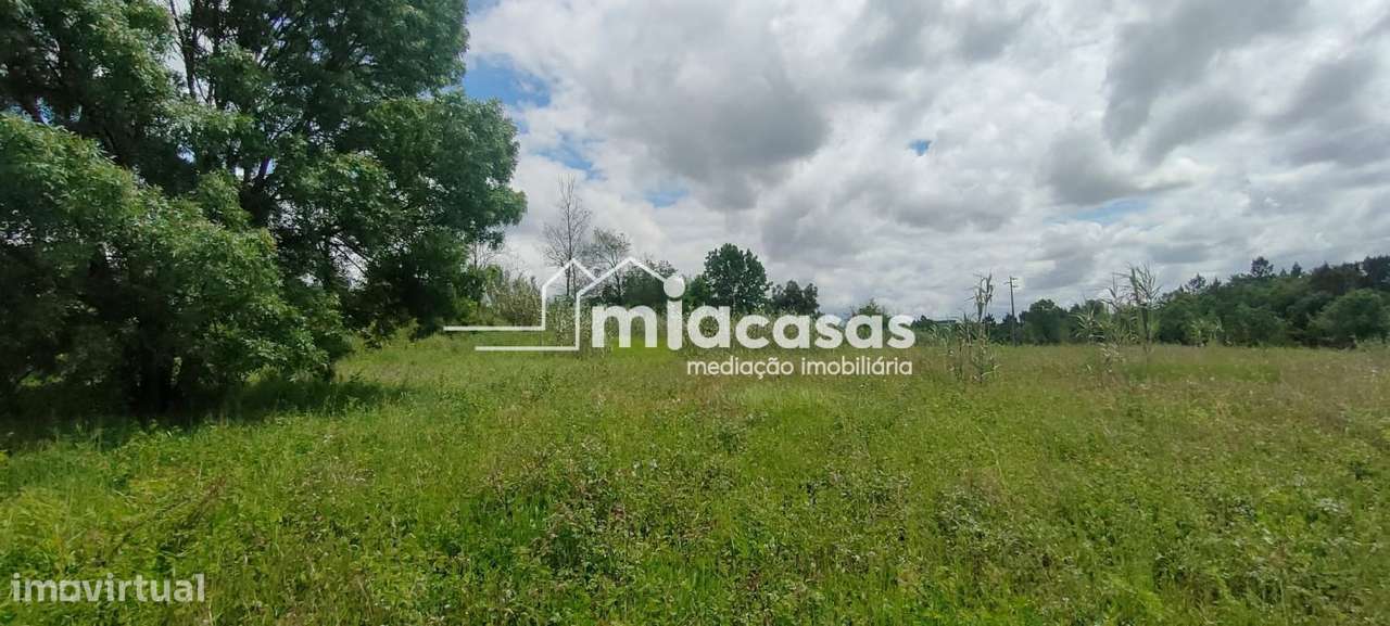 TERRENO URBANO COM DUAS MORADIAS - Grande imagem: 5/15