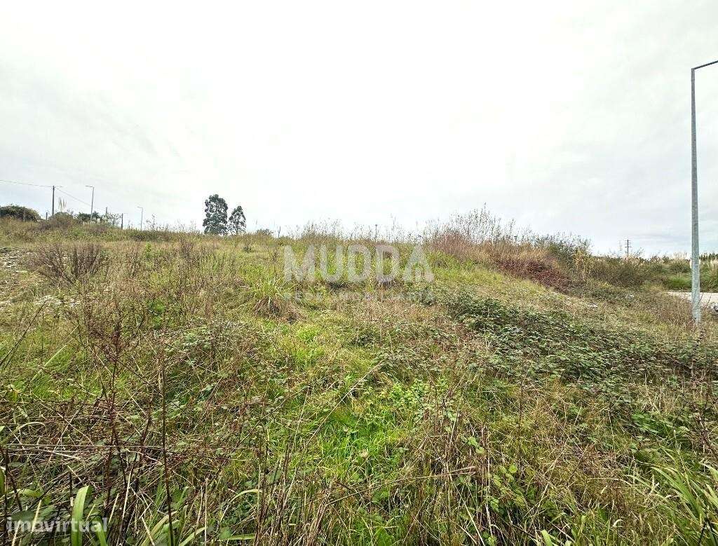 Lote para construção, Salreu, Estarreja - Grande imagem: 2/6