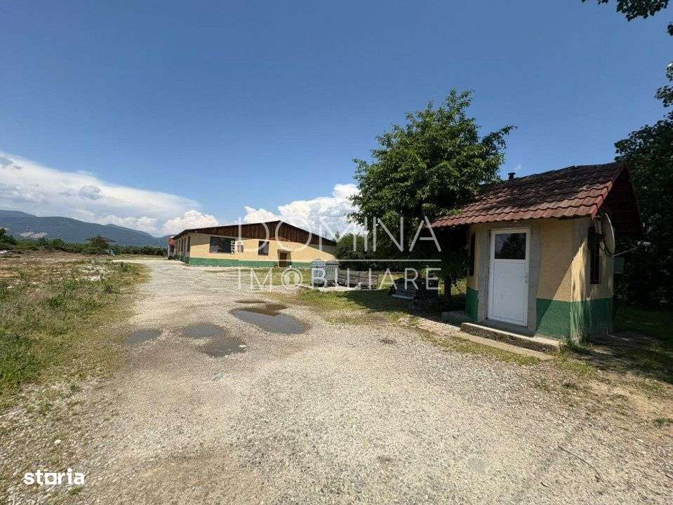 Complex industrial *hala 682 mp + teren 2,5 ha* - Tetila - Imagine principală: 2/10