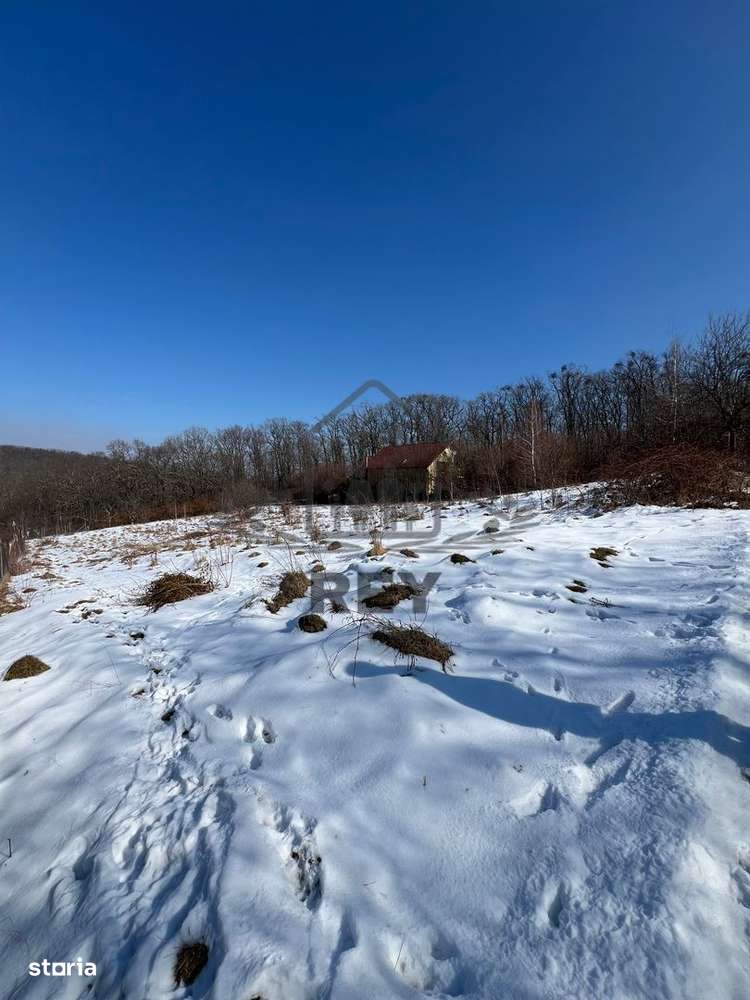 Teren de vânzare Cisnadioara / Sibiu - Imagine principală: 2/7