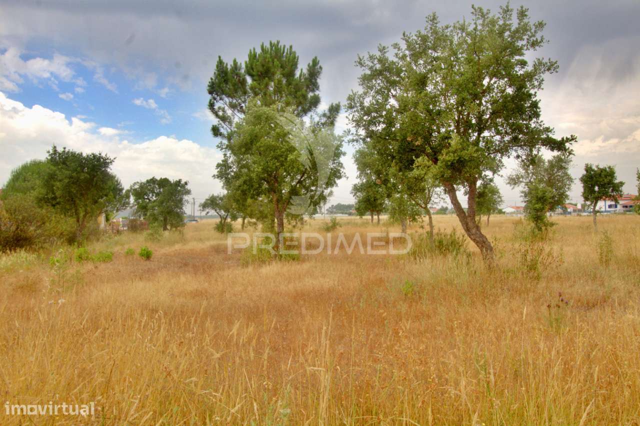 Lote para Construção à Venda em Granho – Localização Estratégica e... - Grande imagem: 4/8