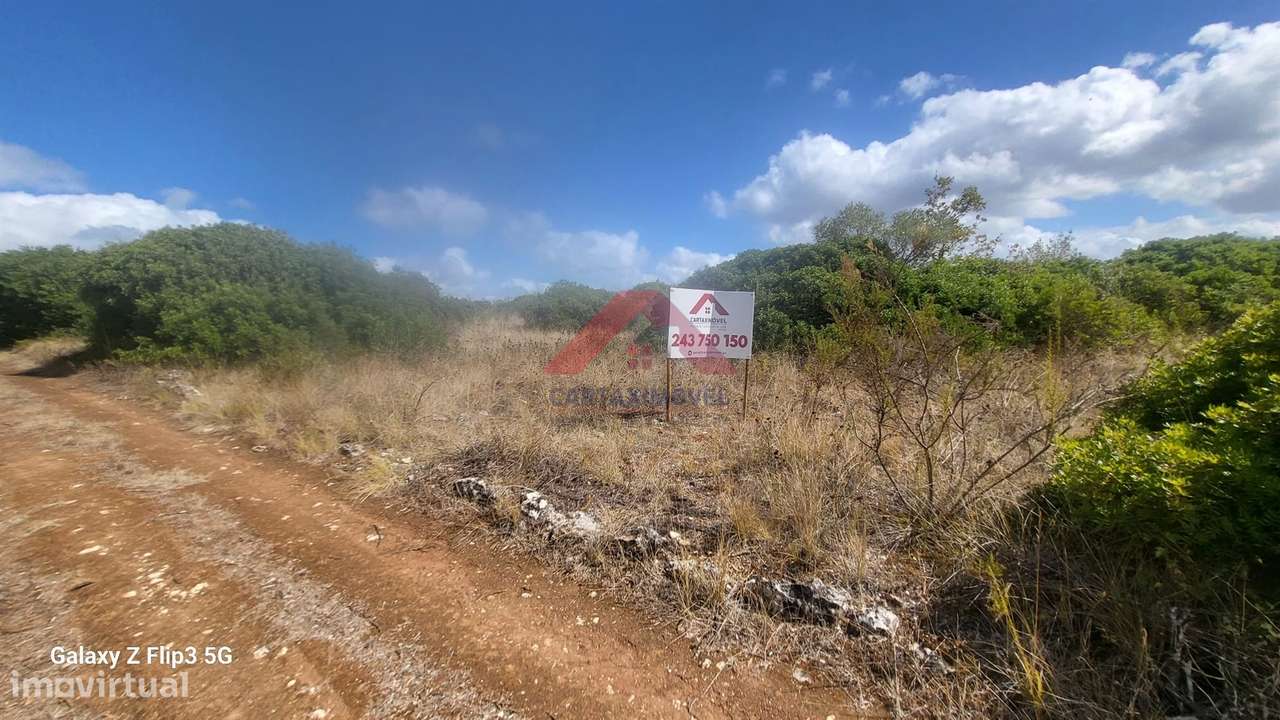 Terreno Rústico  Venda em Cartaxo e Vale da Pinta,Cartaxo - Grande imagem: 2/5