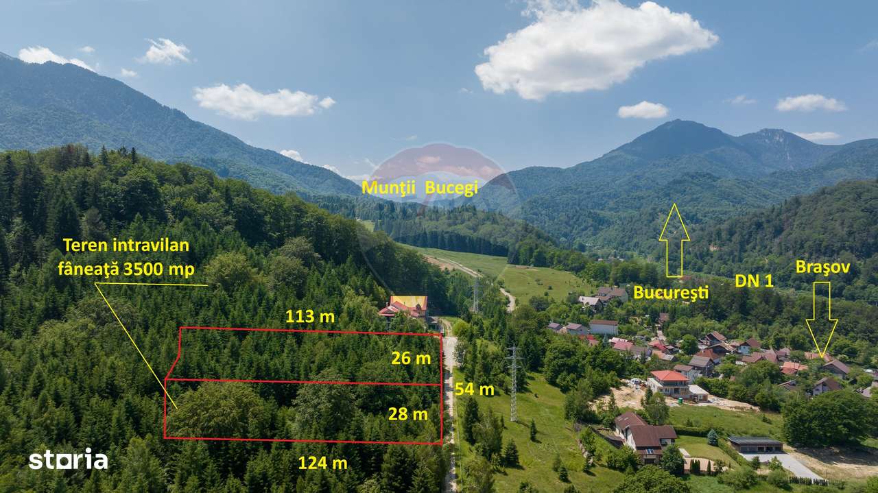 Teren intravilan, 3500 mp, Dâmbu Morii - Imagine principală: 4/8