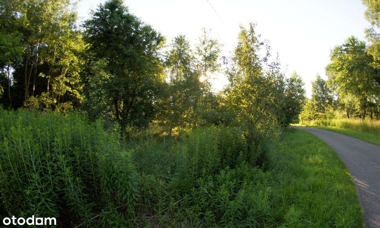 Piękna działka w Rybnik - Niedobczyce | Okazja!-4