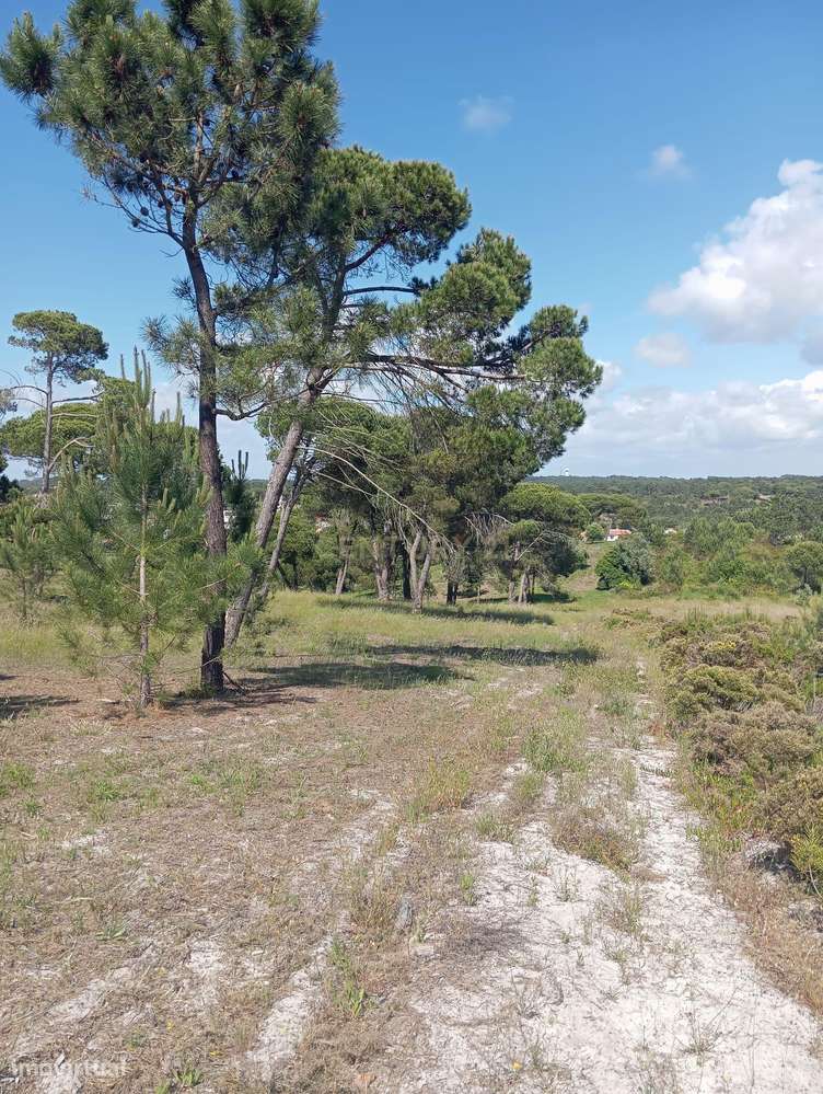 Terreno Rústico perto do Meco - Grande imagem: 2/7