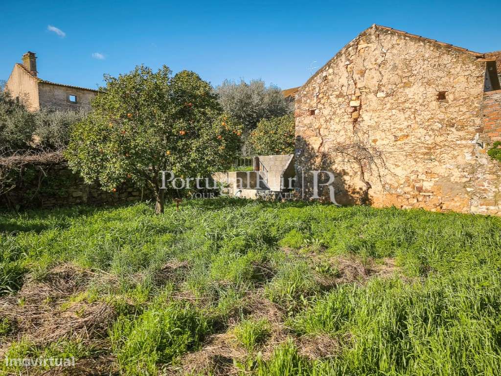 Moradia T5 com terreno em Monforte da Beira - Grande imagem: 3/32