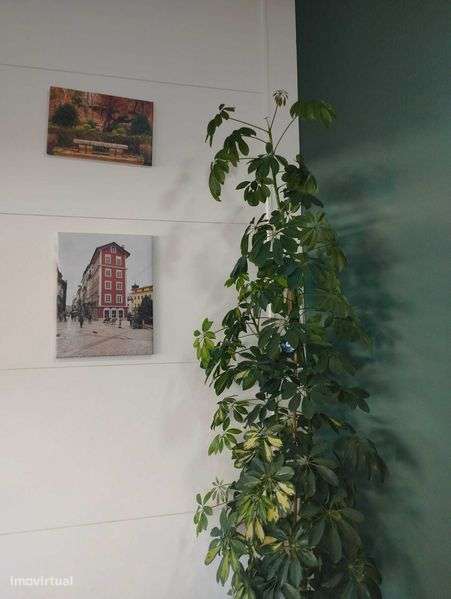 Trespasse restaurante Coimbra - Solum - Grande imagem: 5/10