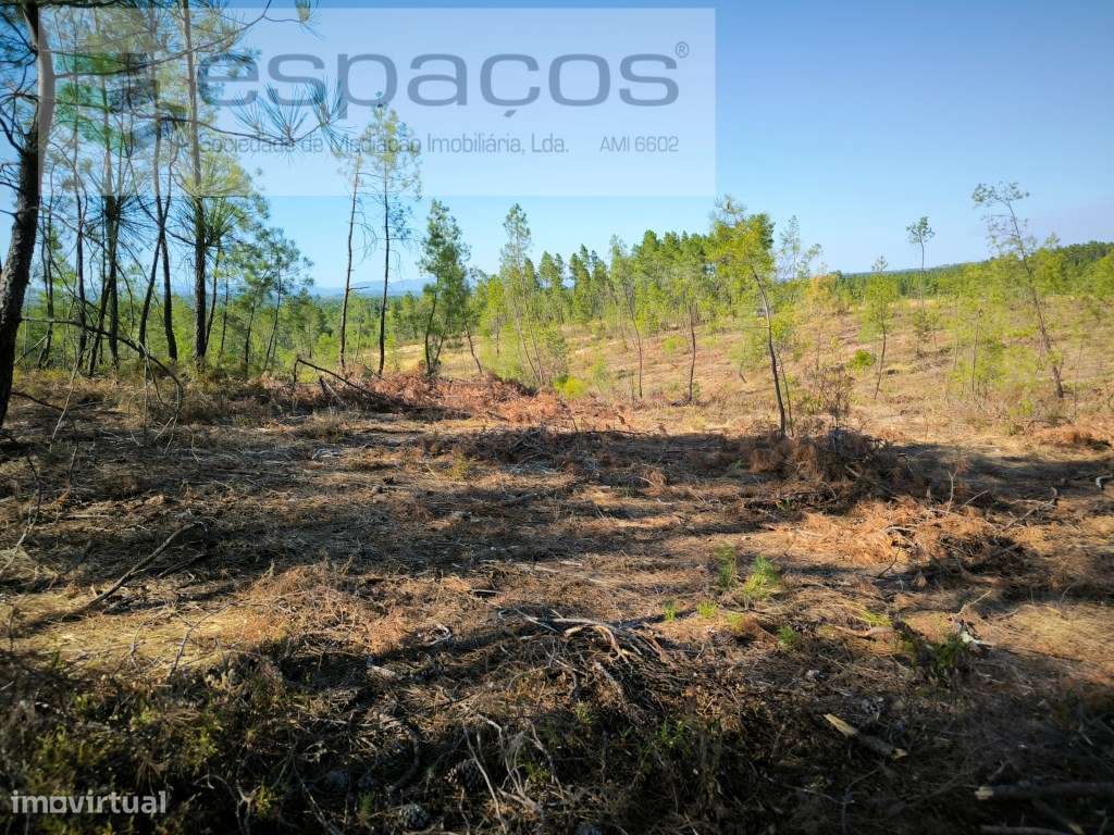 Terreno com bons acessos - S. Domingos - Grande imagem: 5/9