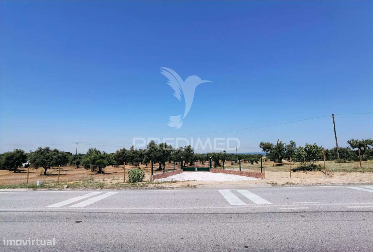 Quinta rural com olival, com uma área de 42,480m2 Vaqueiros, Santarém - Grande imagem: 5/34