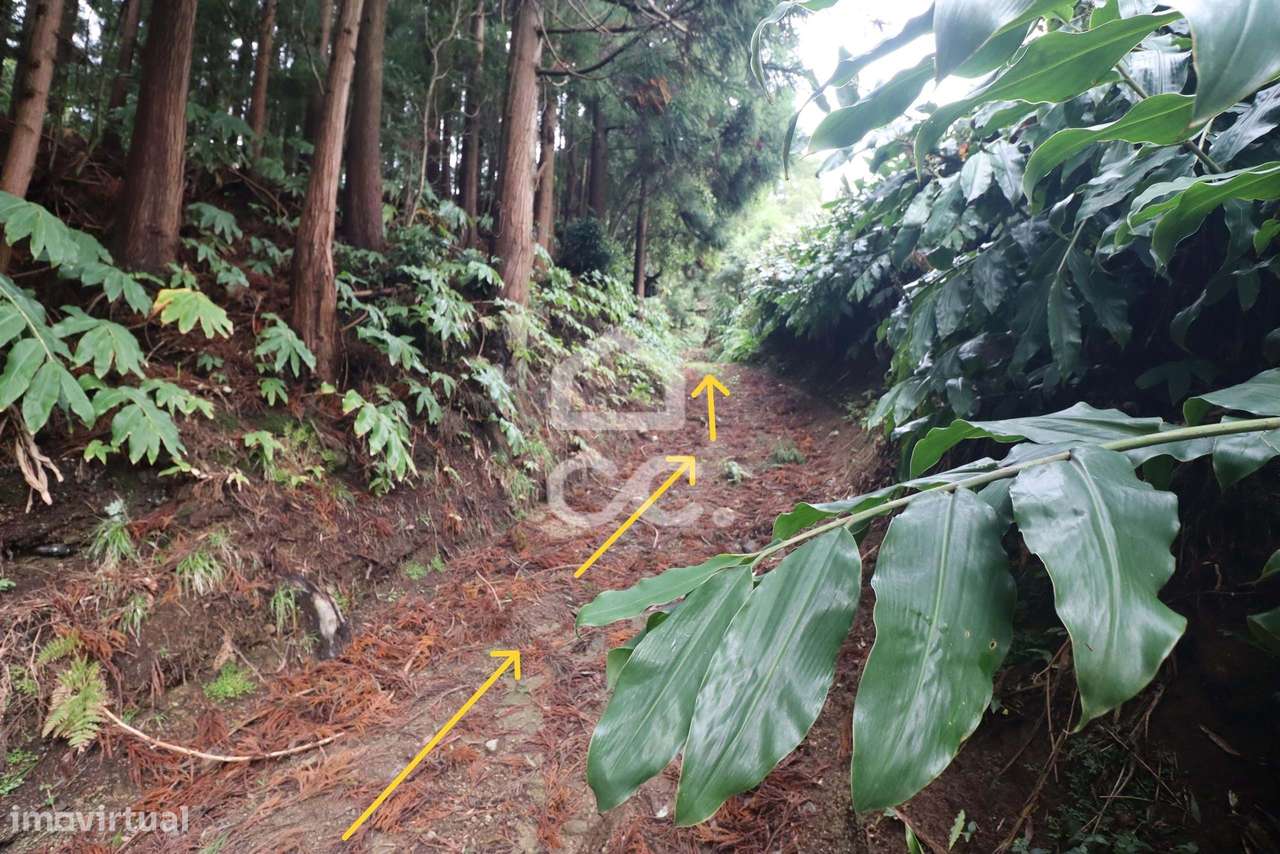 Terreno com 20.460,00 m2 - Água de Pau - Lagoa - Grande imagem: 3/16