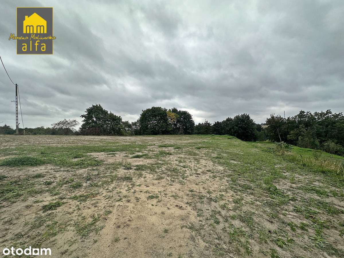 Nowe*Nowy Świat*Działka 3773m2*OD Zaraz-6